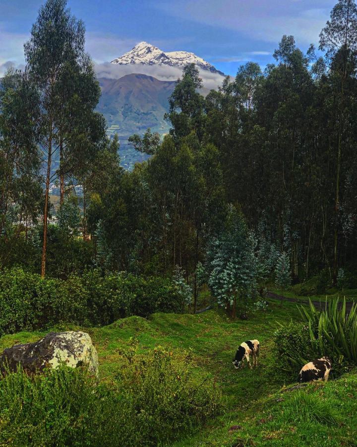 El Tio Hostal Bed & Breakfast Otavalo Exterior photo