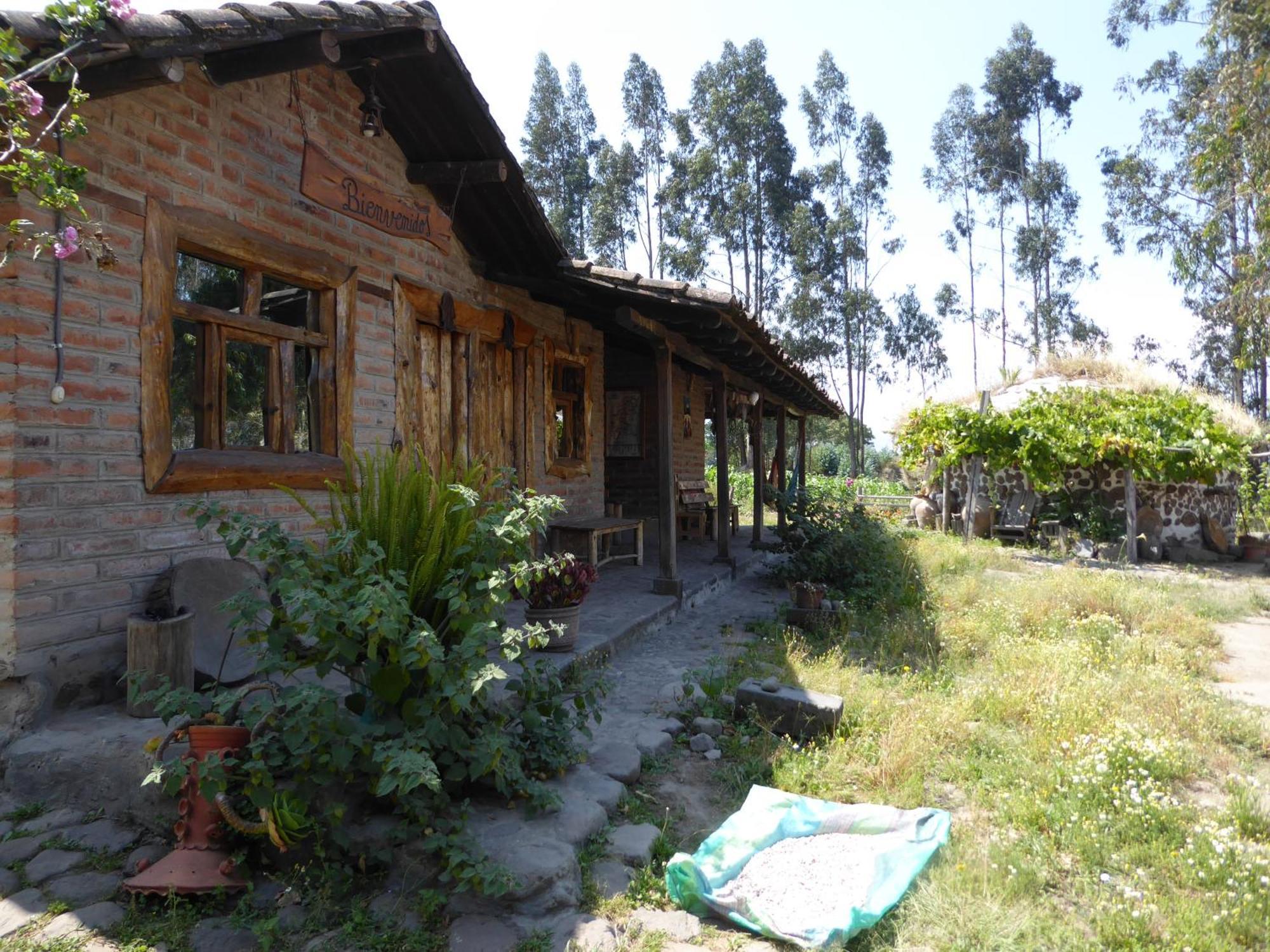 El Tio Hostal Otavalo Exterior photo
