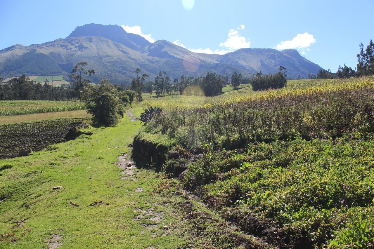 El Tio Hostal Bed & Breakfast Otavalo Exterior photo