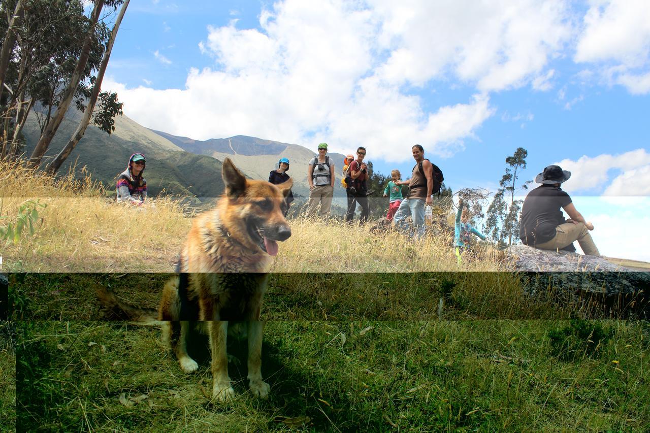 El Tio Hostal Bed & Breakfast Otavalo Exterior photo