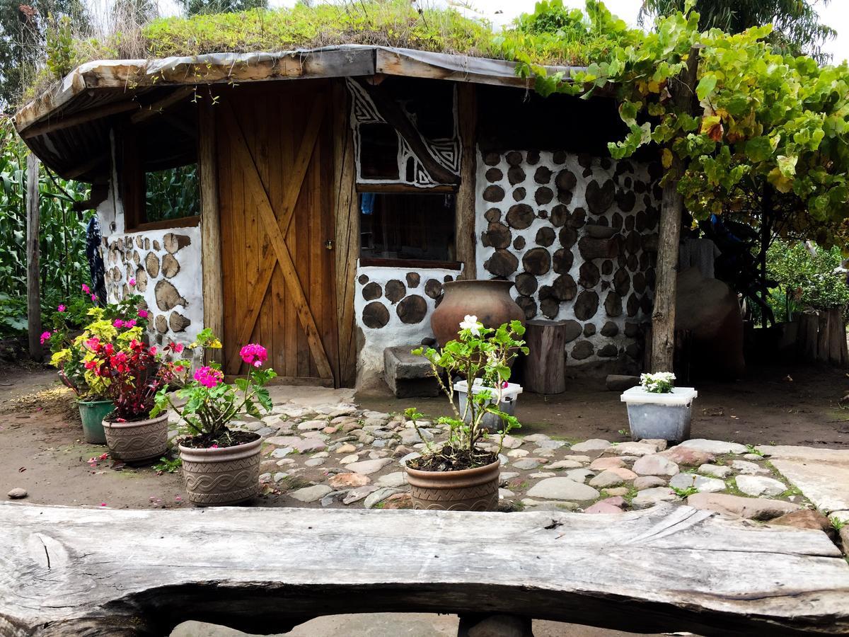 El Tio Hostal Bed & Breakfast Otavalo Exterior photo